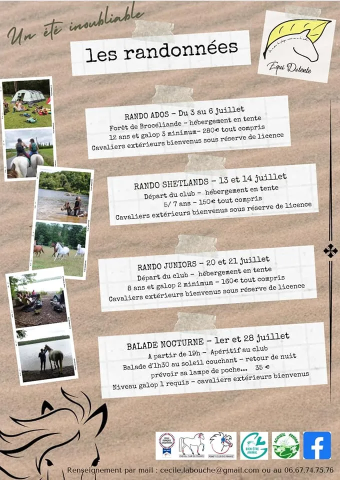 Cours de cheval Guignen