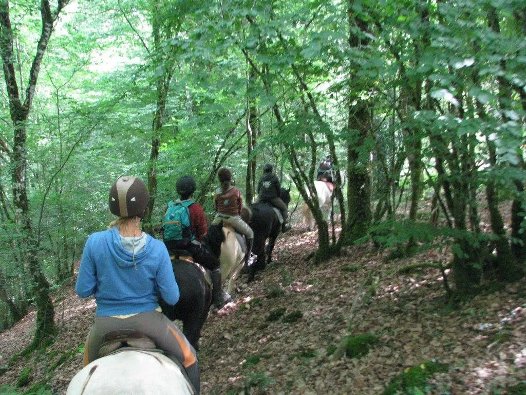 Balade à cheval Laillé