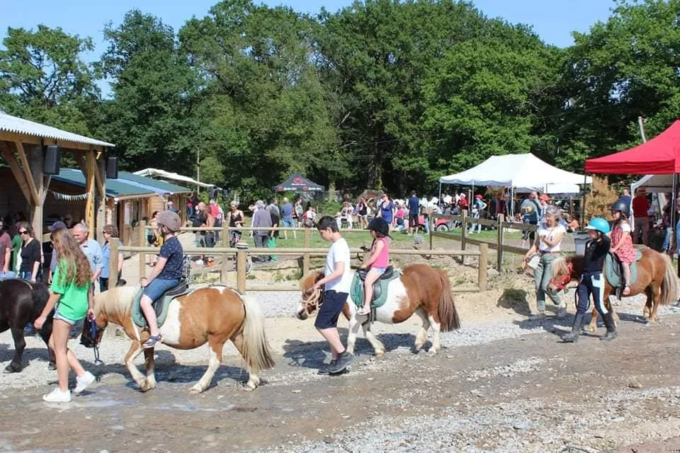 Poney Club Laillé